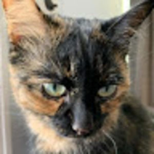 Meet your Posher, Julie